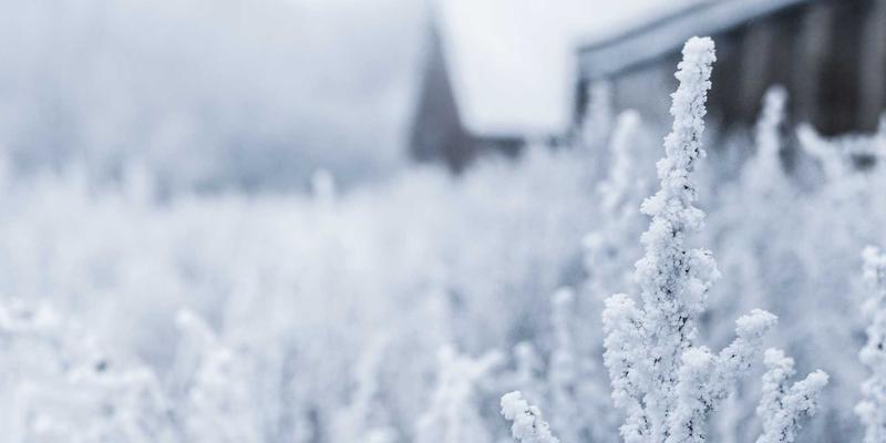宏大实业：以工业解决方案赋能智慧城市，驱动全球贸易新格局