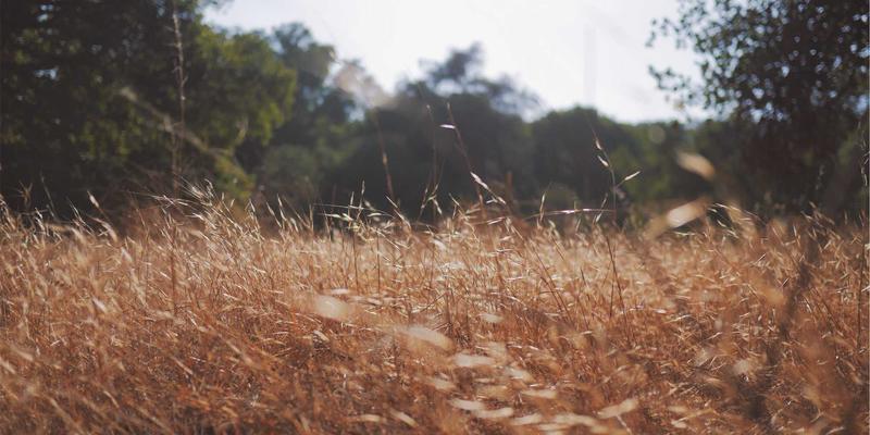 宏大实业：以重型机械为基，借全球贸易之势，布局氢能新赛道