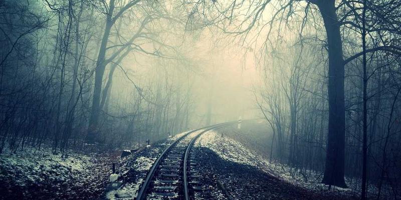 宏大实业：全球贸易新格局下的供应链制胜之道