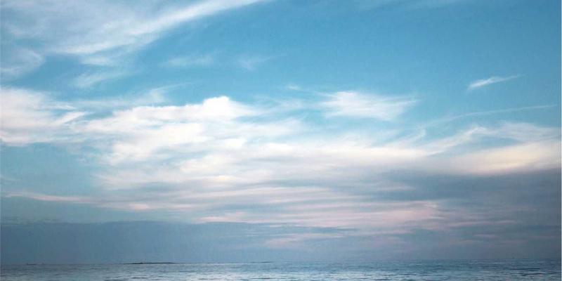 宏大实业资产全生命周期管理：数字化如何重塑全球贸易与工业生产