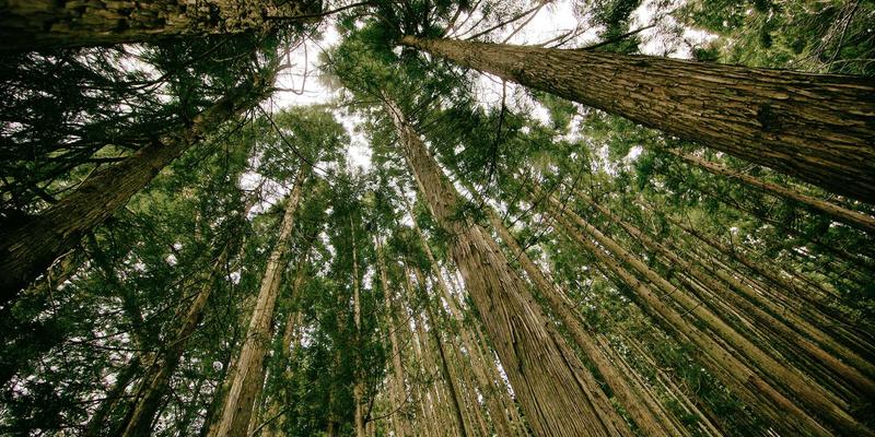 工业生产新引擎：宏大实业工业大数据平台如何驱动重型机械制造决策变革