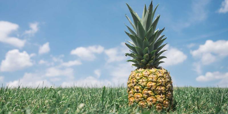 工业解决方案与供应链革新：重型机械企业的核心竞争力对比